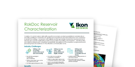 Resource Info RokDoc Reservoir Characterization