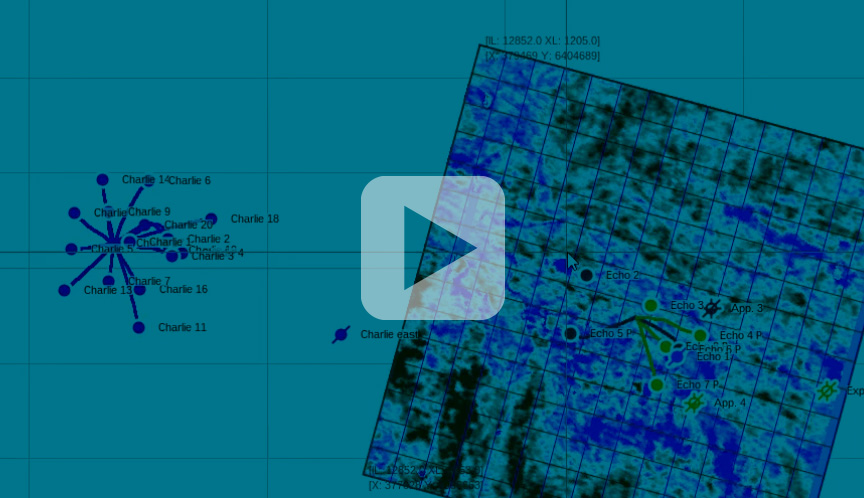 Resource Info RokDoc Reservoir Characterization