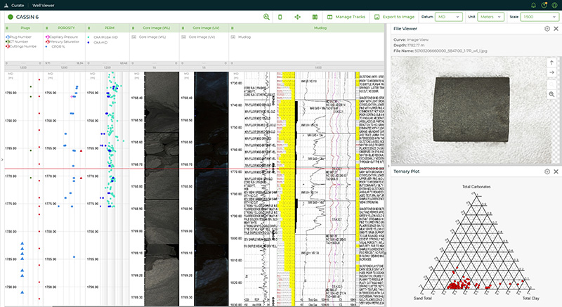 Data Management Knowledge Management Curate