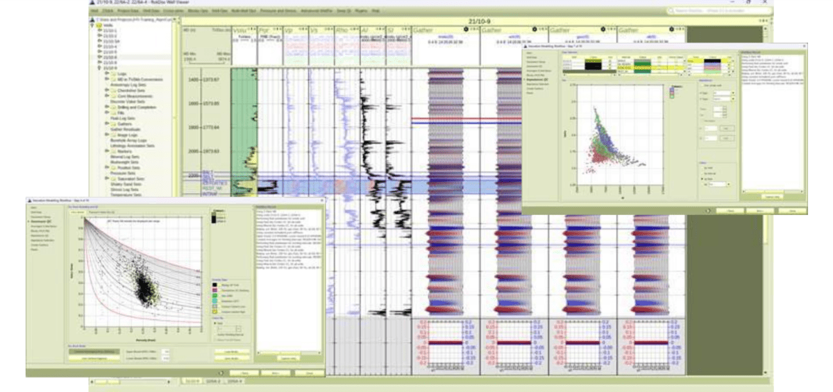 Resource Info AVO Feasibility: Saturation Modeling Workflow (Session 2 of 6)